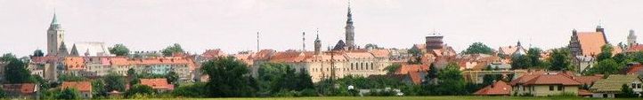 JAWOR ŚWIETLICA
