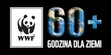 godzina