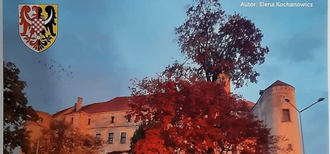 Zdjęcie nagrodzonej pracy